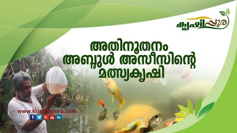 അതിനൂതനം അബ്ദുൾ അസീസിൻ്റെ മത്സ്യകൃഷി