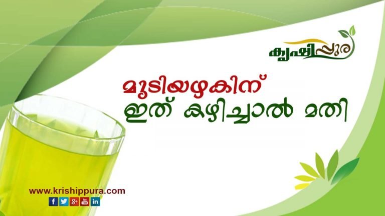 മുടിയഴകിന് ഇത് കഴിച്ചാൽ മതി