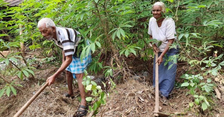 പ്രായം 90! ഈ വൃദ്ധ ദമ്പതികള്‍ കൃഷിയില്‍ വേറിട്ട മാതൃക