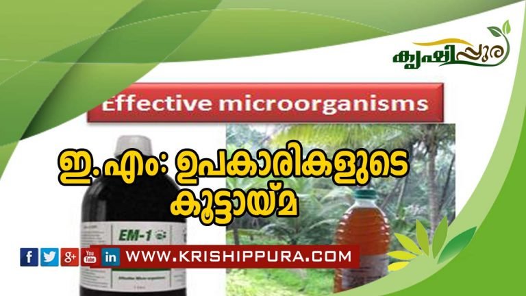 ഇ.എം: ഉപകാരികളുടെ കൂട്ടായ്മ