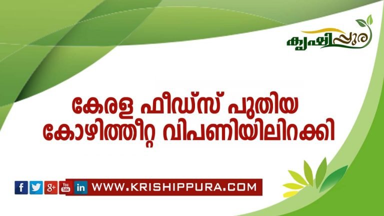 കേരള ഫീഡ്‌സ് പുതിയ കോഴിത്തീറ്റ വിപണിയിലിറക്കി