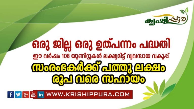 ഒരു ജില്ല ഒരു ഉത്പന്നം പദ്ധതി: ഈ വർഷം 108 യൂണിറ്റുകൾ ലക്ഷ്യമിട്ട് വ്യവസായ വകുപ്പ്, സംരംഭകർക്ക് പത്തു ലക്ഷം രൂപ വരെ സഹായം