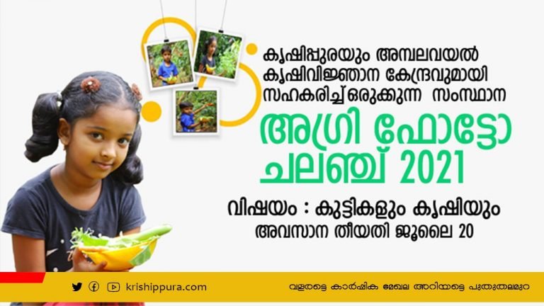 കൃഷിപ്പുര  അഗ്രി ഫോട്ടോ  ചലഞ്ച്  2021;  വിഷയം : കുട്ടികളും കൃഷിയും അവസാന തീയതി ജൂലൈ 20