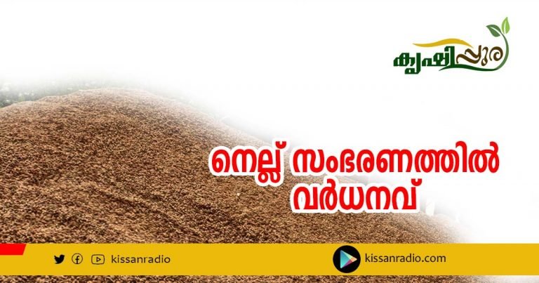 നെല്ല് സംഭരണത്തിൽ വർധനവ്