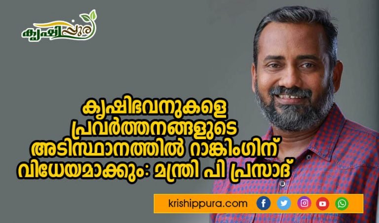 കൃഷിഭവനുകളെ പ്രവര്‍ത്തനങ്ങളുടെ അടിസ്ഥാനത്തില്‍ റാങ്കിംഗിന് വിധേയമാക്കും: മന്ത്രി പി പ്രസാദ്