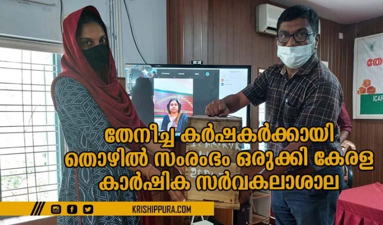 തേനീച്ച കർഷകർക്കായി തൊഴിൽ സംരംഭം ഒരുക്കി കേരള കാർഷിക സർവകലാശാല