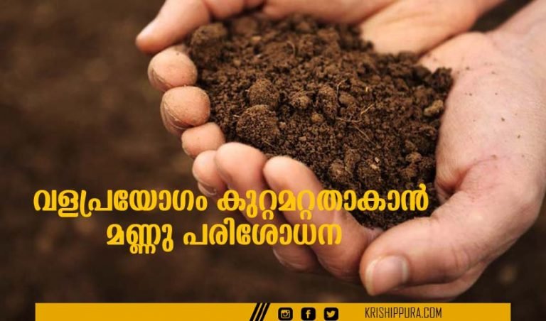 വളപ്രയോഗം കുറ്റമറ്റതാകാൻ മണ്ണു പരിശോധന