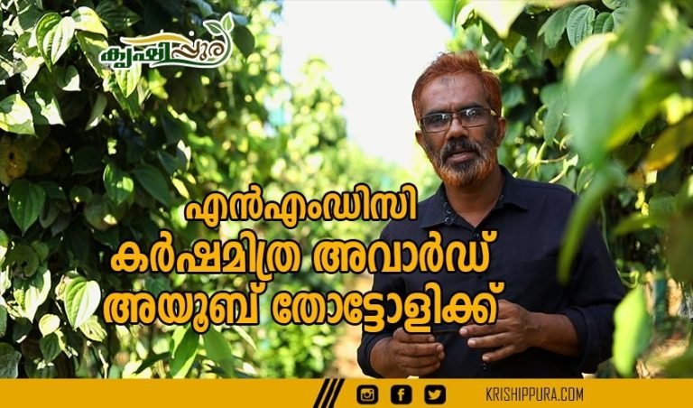 എൻ എം ഡി സി പ്രഥമ കർഷക മിത്ര അവാർഡ്  അയൂബ് തോട്ടോളിക്ക്