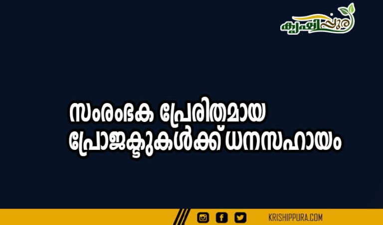 സംരംഭക പ്രേരിതമായ പ്രോജക്ടുകള്‍ക്ക്‌ ധനസഹായം