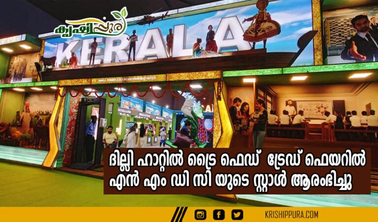 ദില്ലി ഹാറ്റിൽ ട്രൈ ഫെഡ്  ട്രേഡ് ഫെയറിൽ എൻ എം ഡി സി യുടെ സ്റ്റാൾ ആരംഭിച്ചു