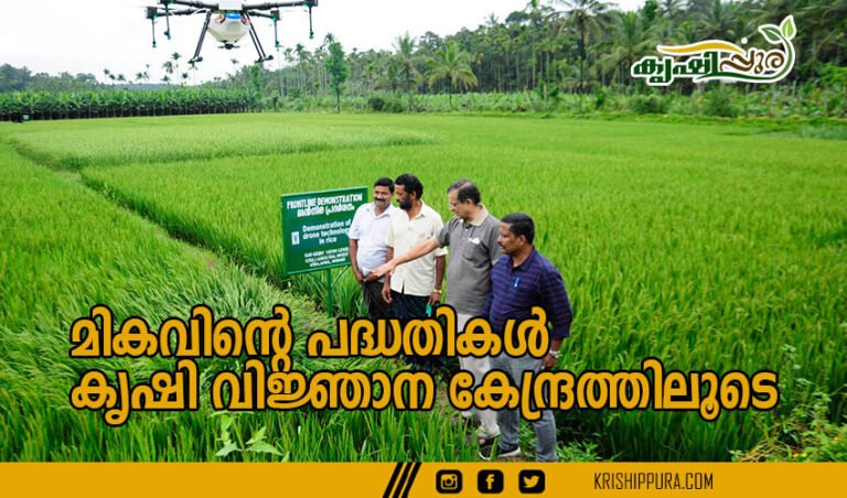 മികവിന്റെ പദ്ധതികൾ: കൃഷി വിജ്ഞാന കേന്ദ്രത്തിലൂടെ