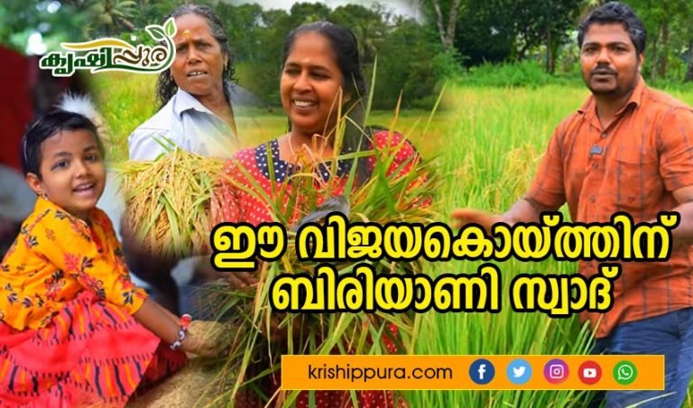 ഈ വിജയകൊയ്ത്തിന് ബിരിയാണി സ്വാദ്