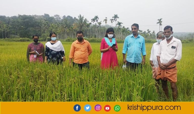 എം ഡി ഡി റ്റി ടീം പാടശേഖരങ്ങൾ സന്ദർശിച്ചു
