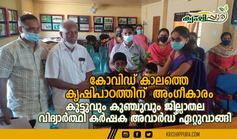 കോവിഡ് കാലത്തെ   കൃഷിപാഠത്തിന്  അംഗീകാരം: കുട്ടുവും കുഞ്ചുവും ജില്ലാതല   വിദ്യാർത്ഥി കർഷക അവാർഡ് ഏറ്റുവാങ്ങി